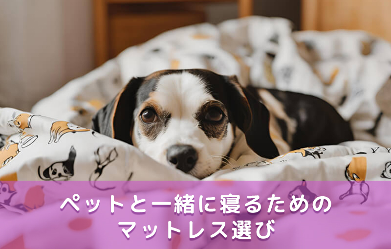 ペットと一緒に寝るためのマットレス選び