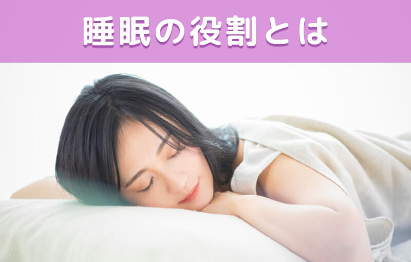 睡眠の役割とは